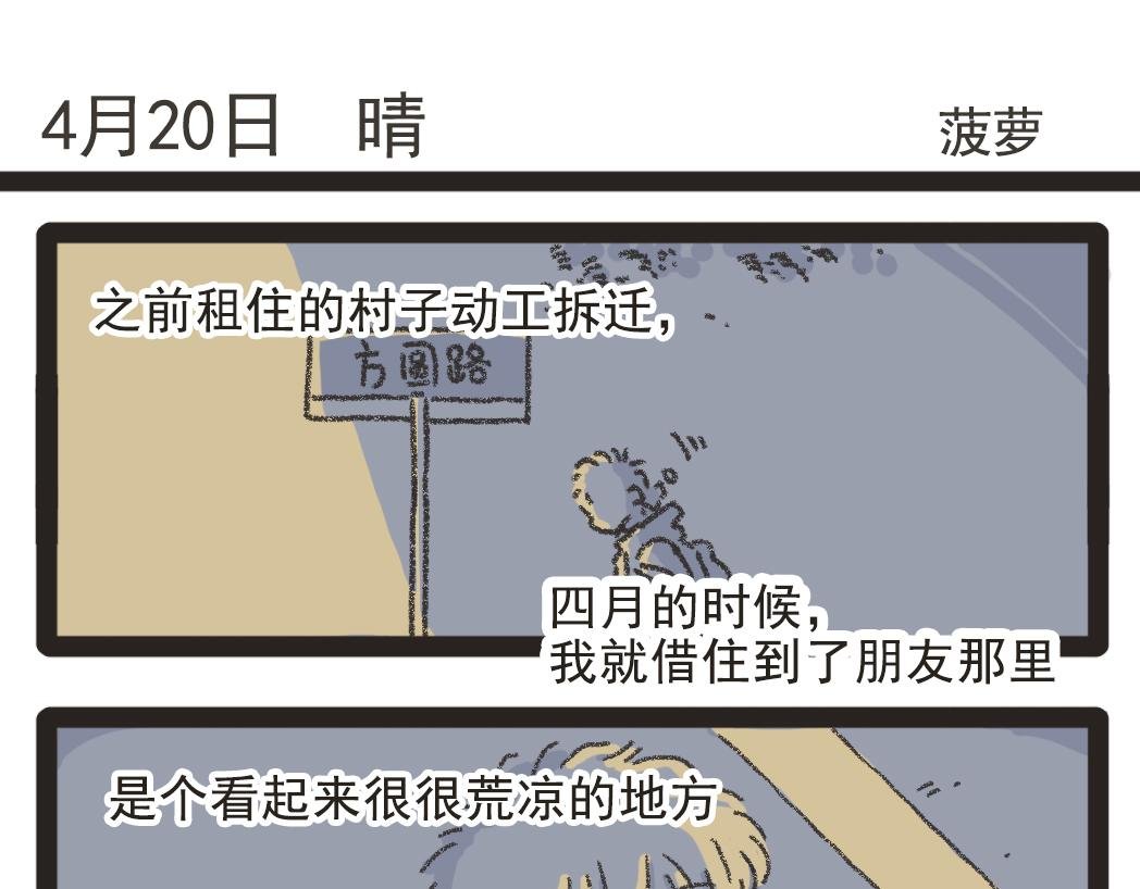 003夜晚的菠萝
