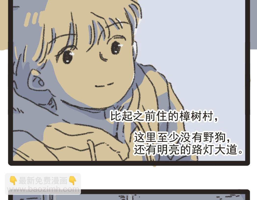 003夜晚的菠萝