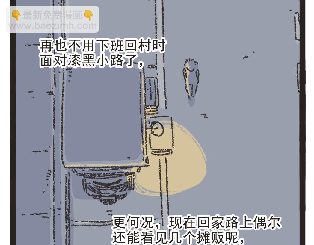 003夜晚的菠萝