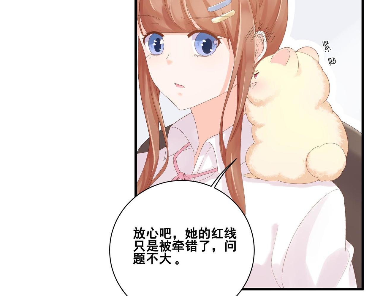 004 牵线行动开启！