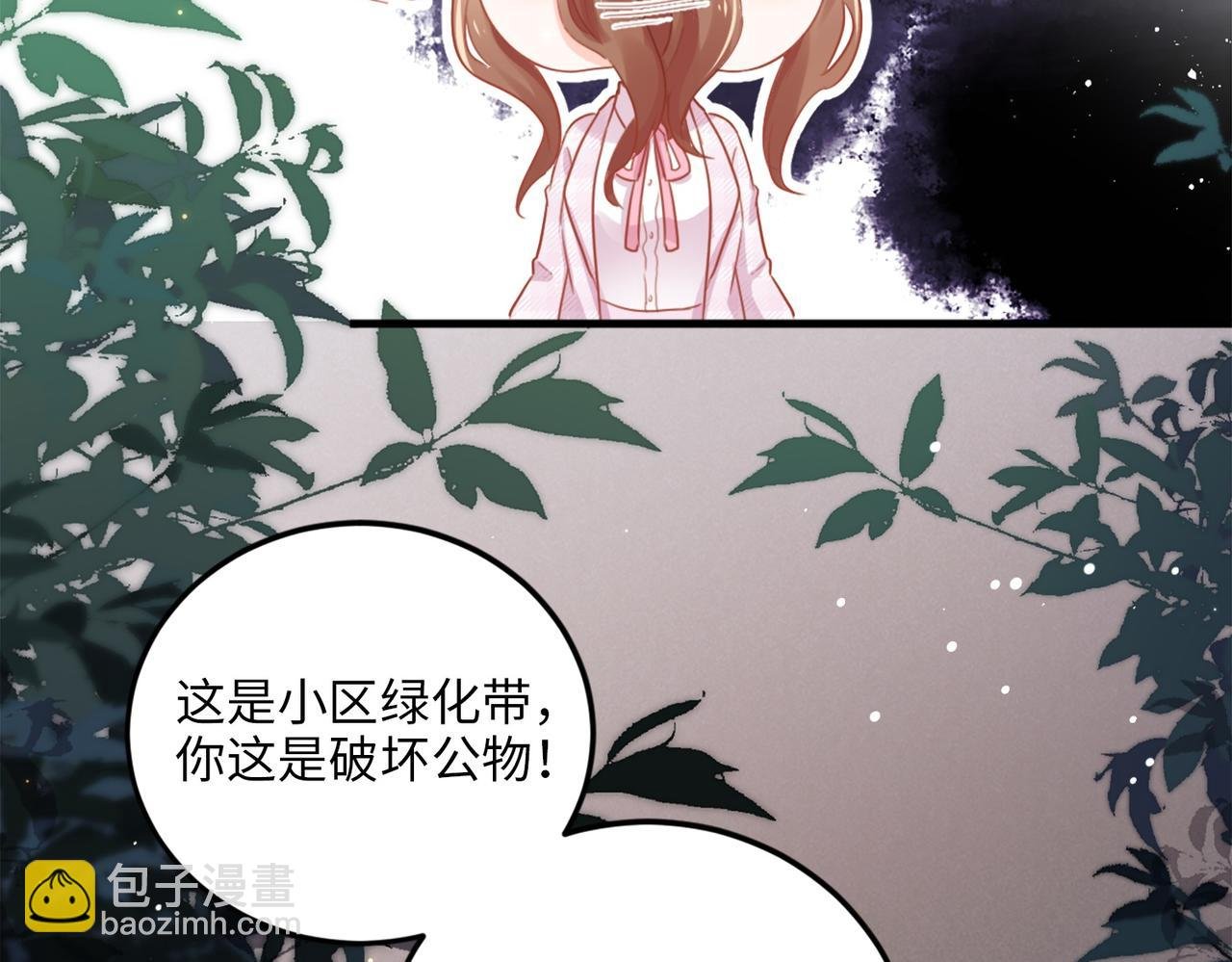 003 我被金丝熊壁咚了？