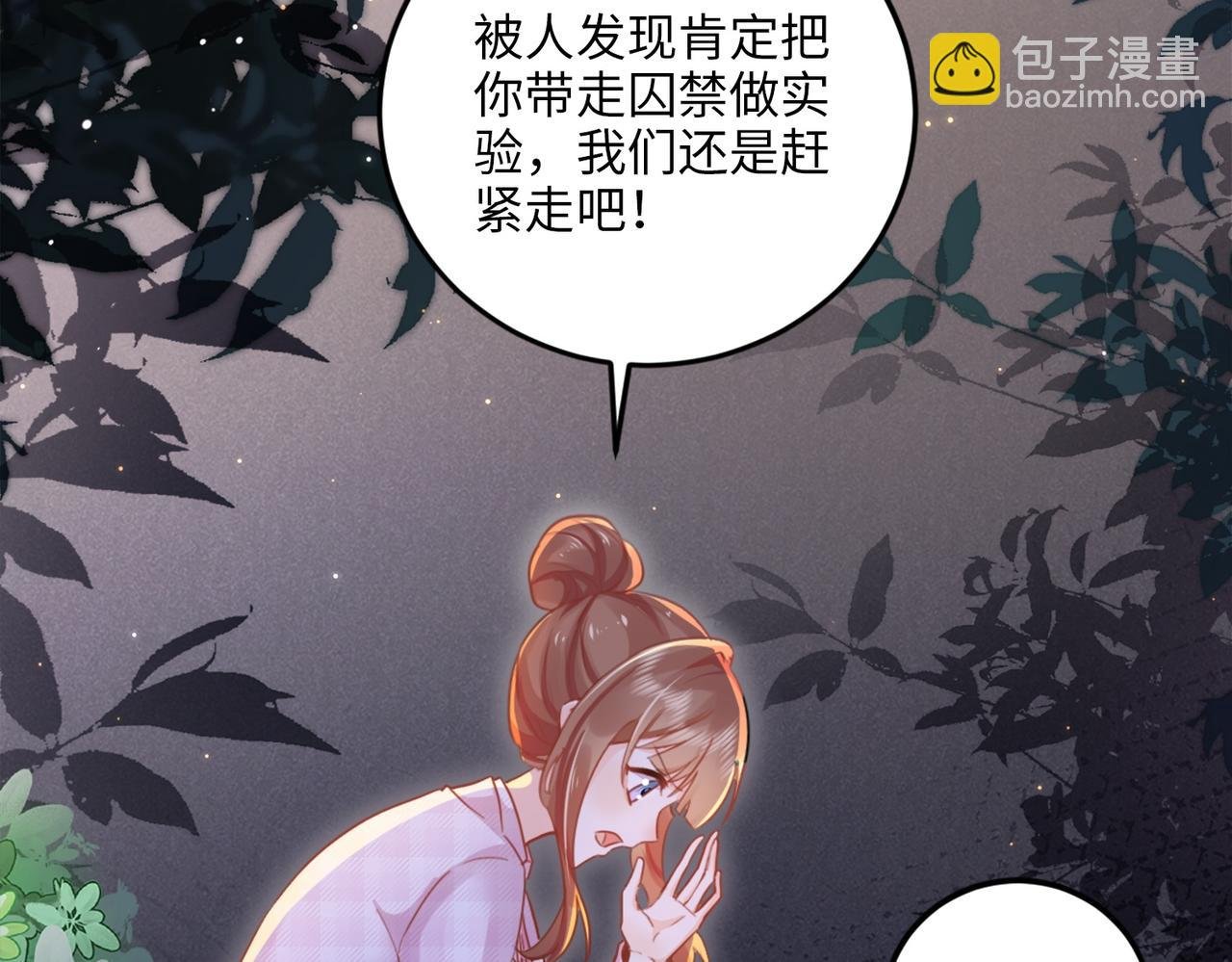 003 我被金丝熊壁咚了？