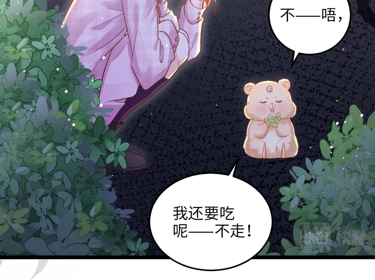 003 我被金丝熊壁咚了？