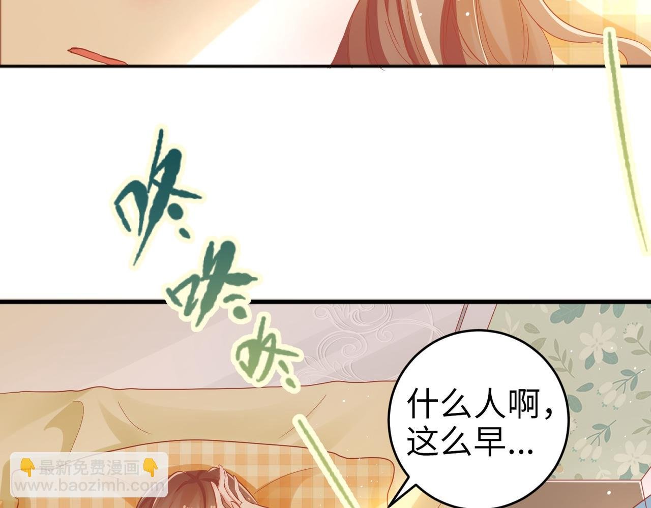 003 我被金丝熊壁咚了？