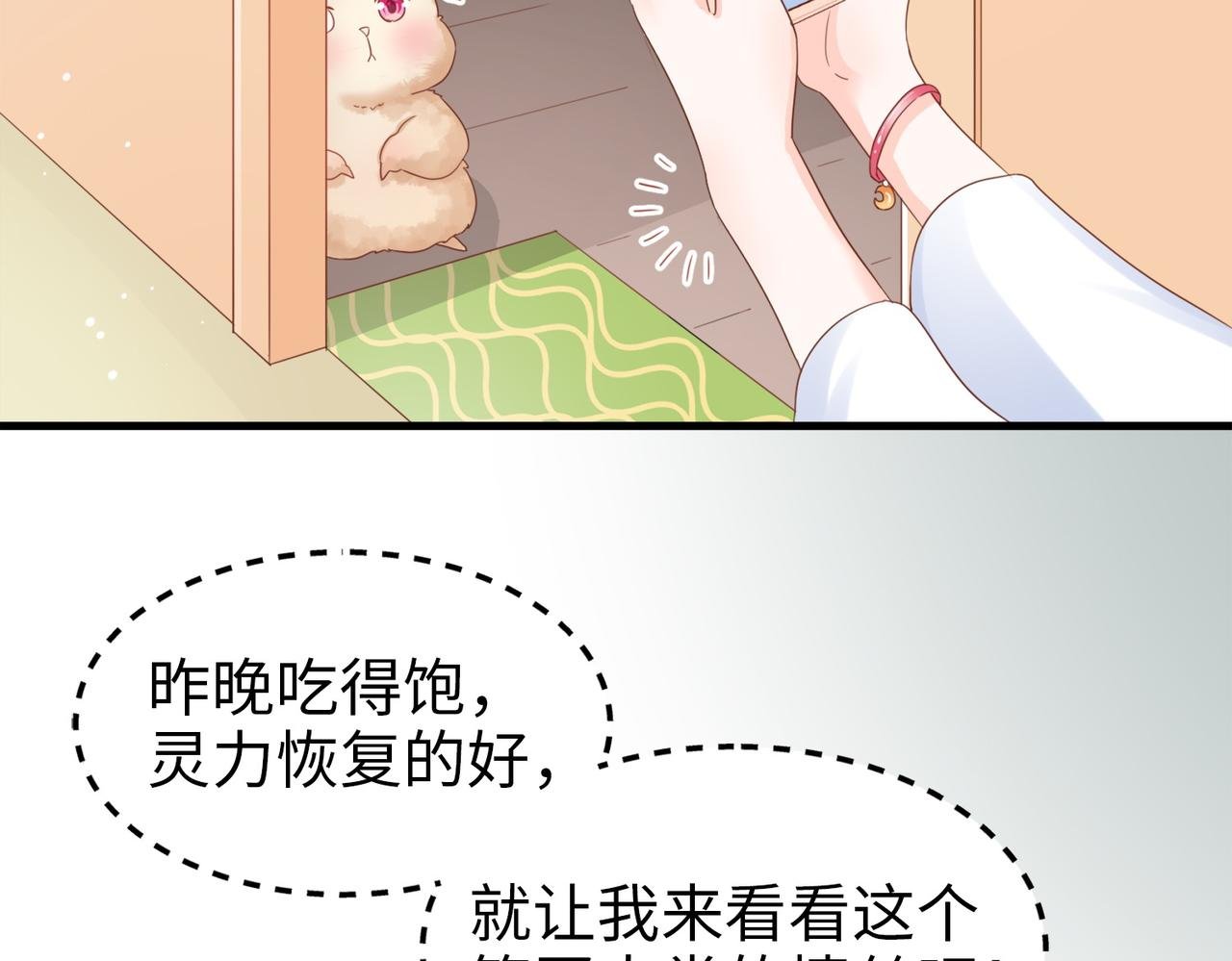 003 我被金丝熊壁咚了？
