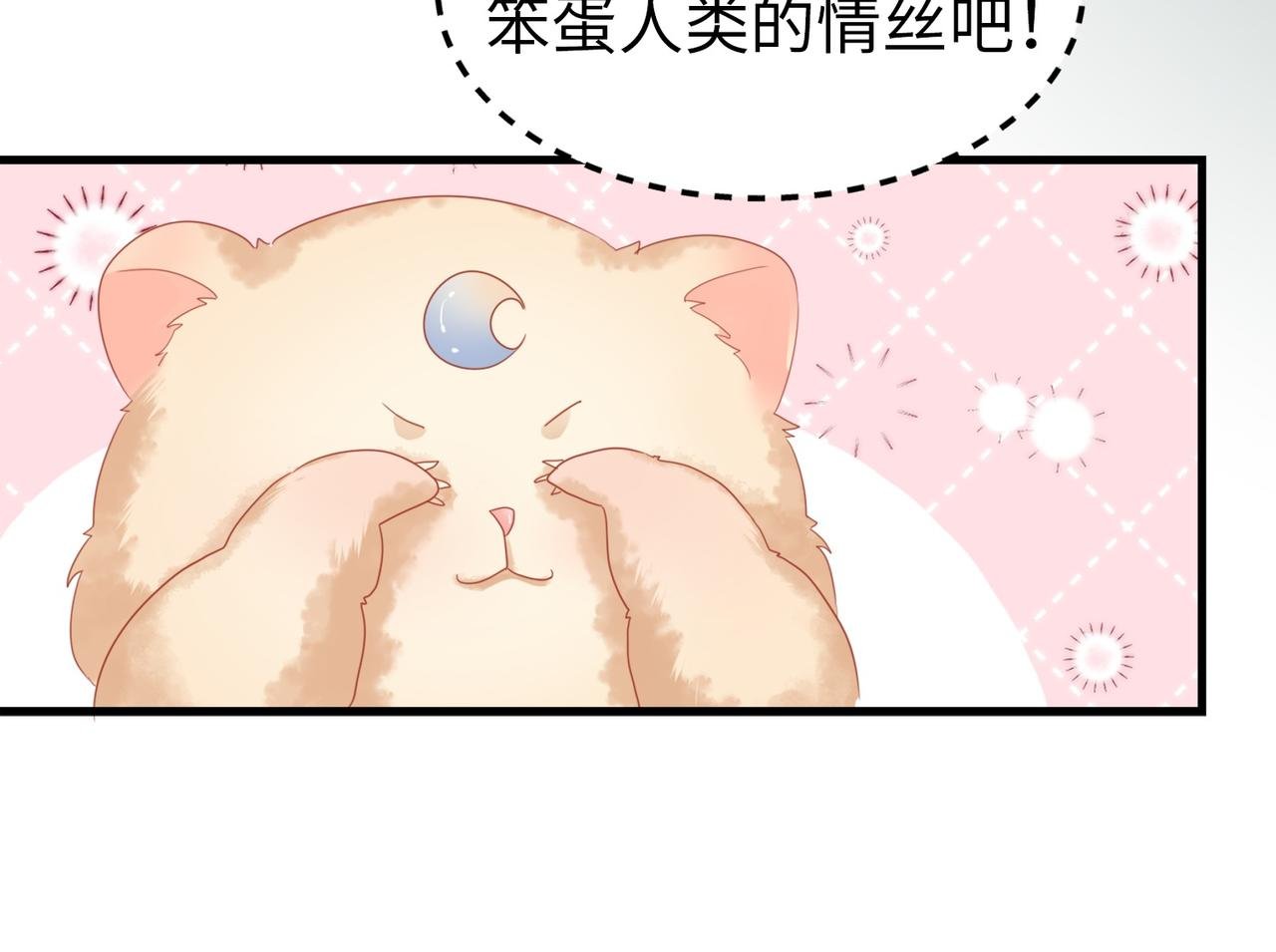 003 我被金丝熊壁咚了？