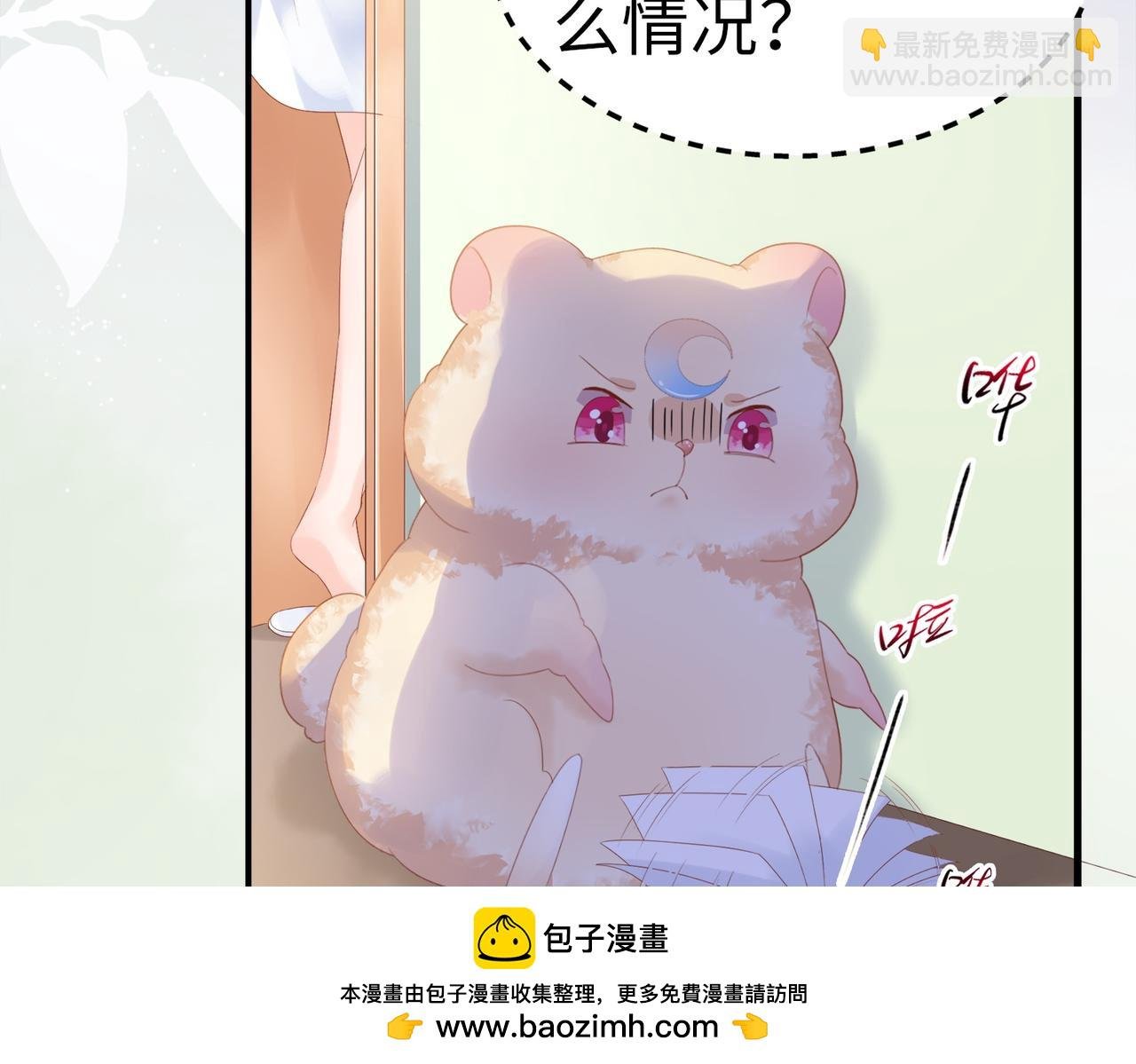 003 我被金丝熊壁咚了？