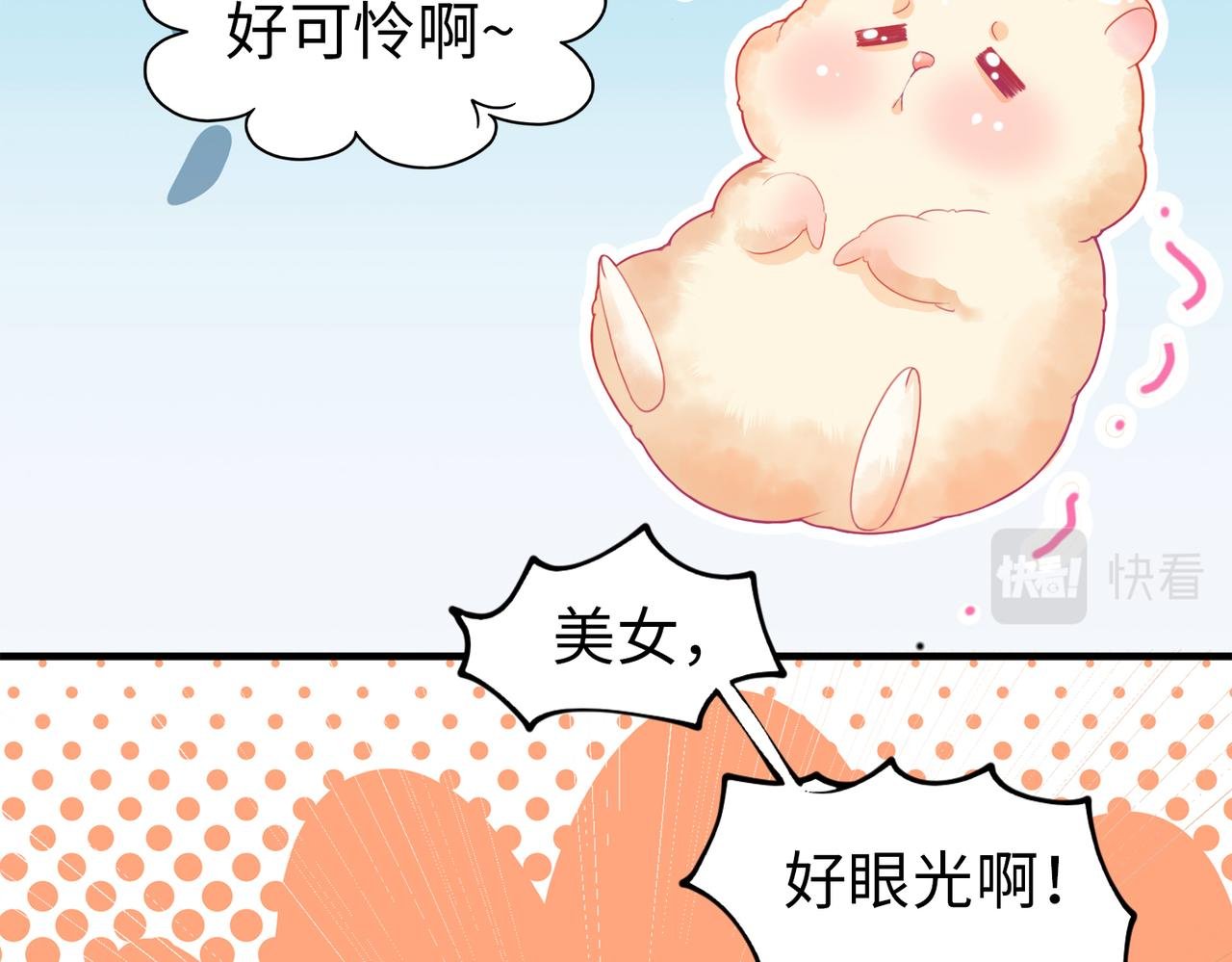 001 金丝熊说话了？