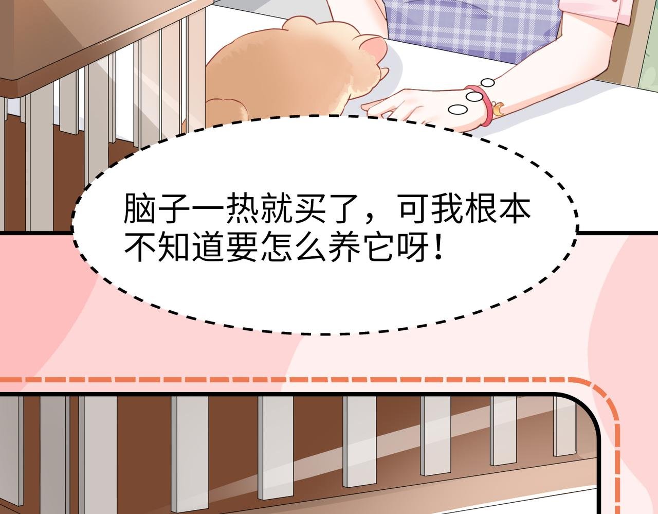 001 金丝熊说话了？