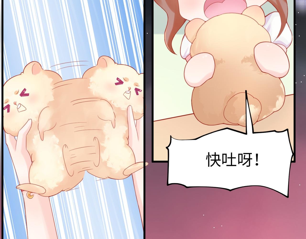 001 金丝熊说话了？