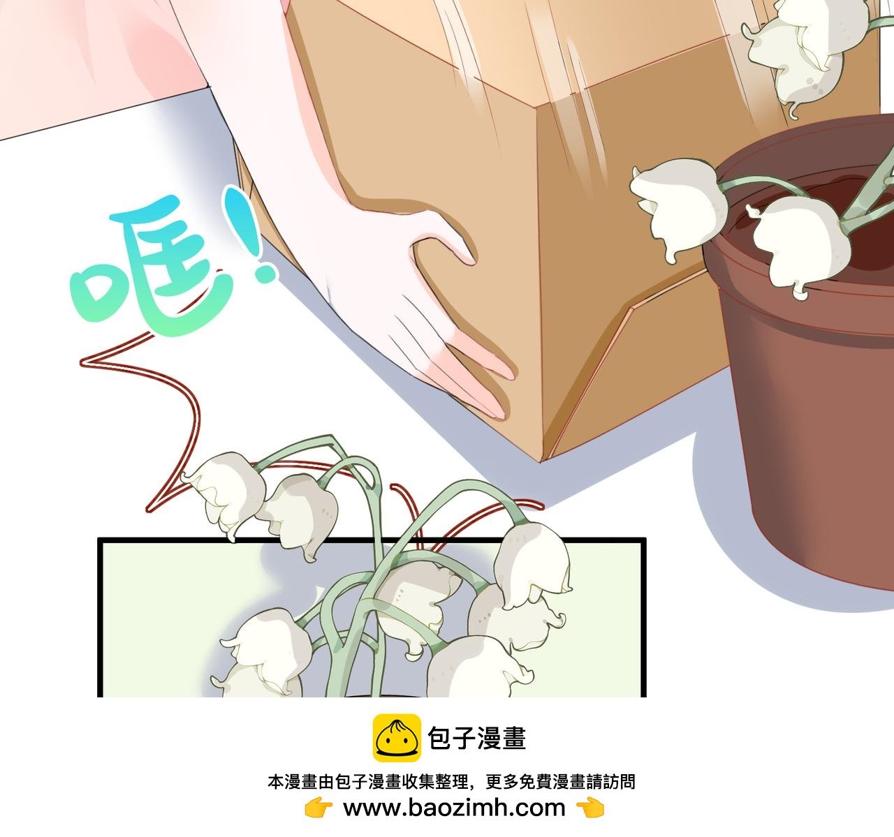 001 金丝熊说话了？