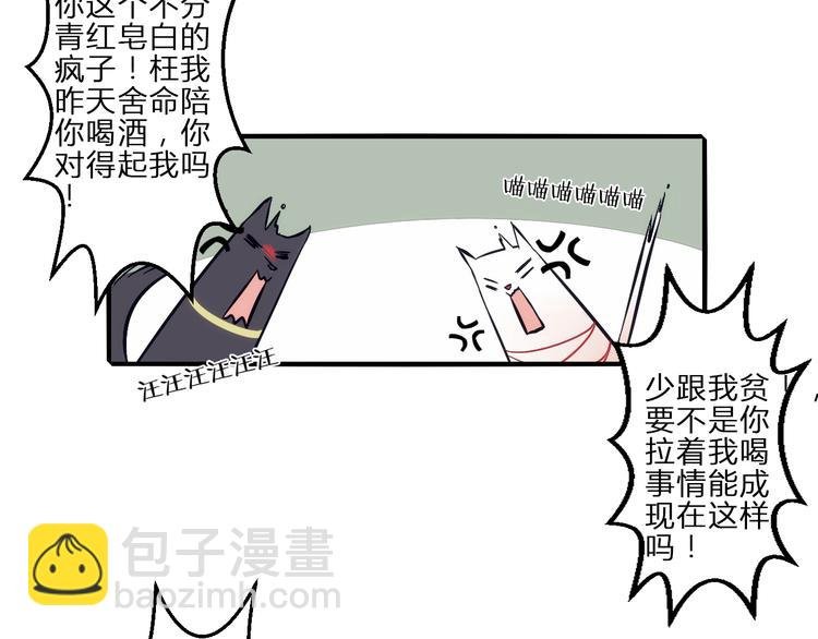 第1话 没想到你是这样的月老！
