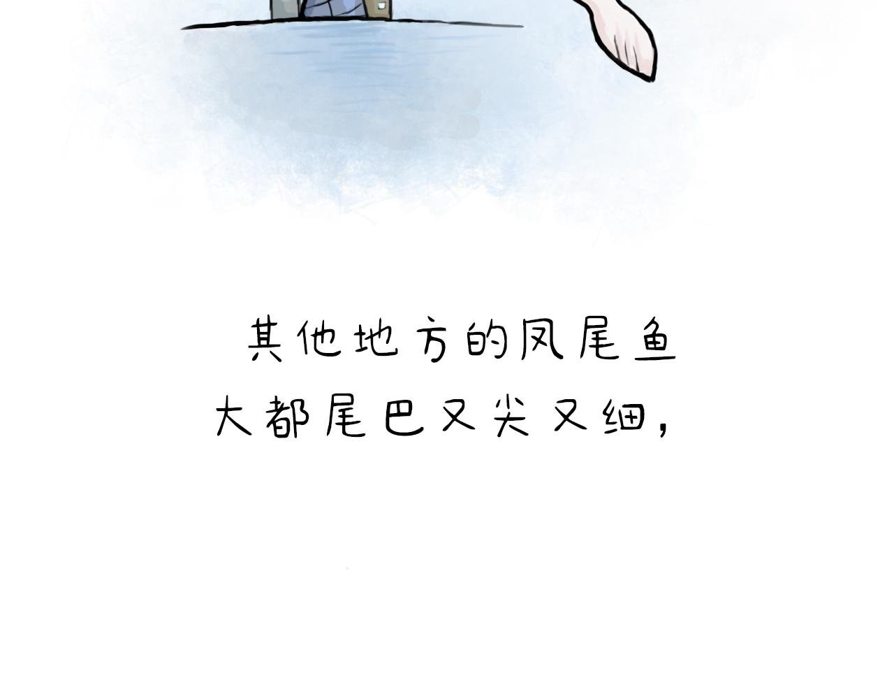 凤尾鱼尾巴居然与状元有关（上）