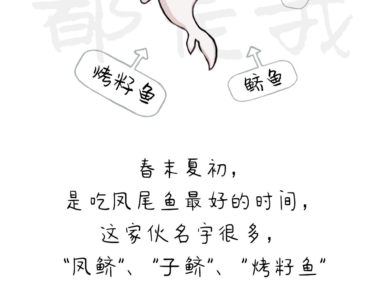 为什么说四月的凤尾鱼最肥美？