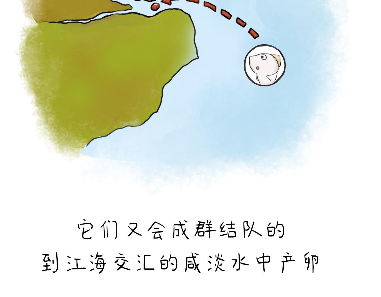 为什么说四月的凤尾鱼最肥美？
