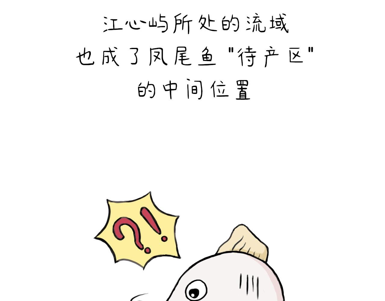 为什么说四月的凤尾鱼最肥美？