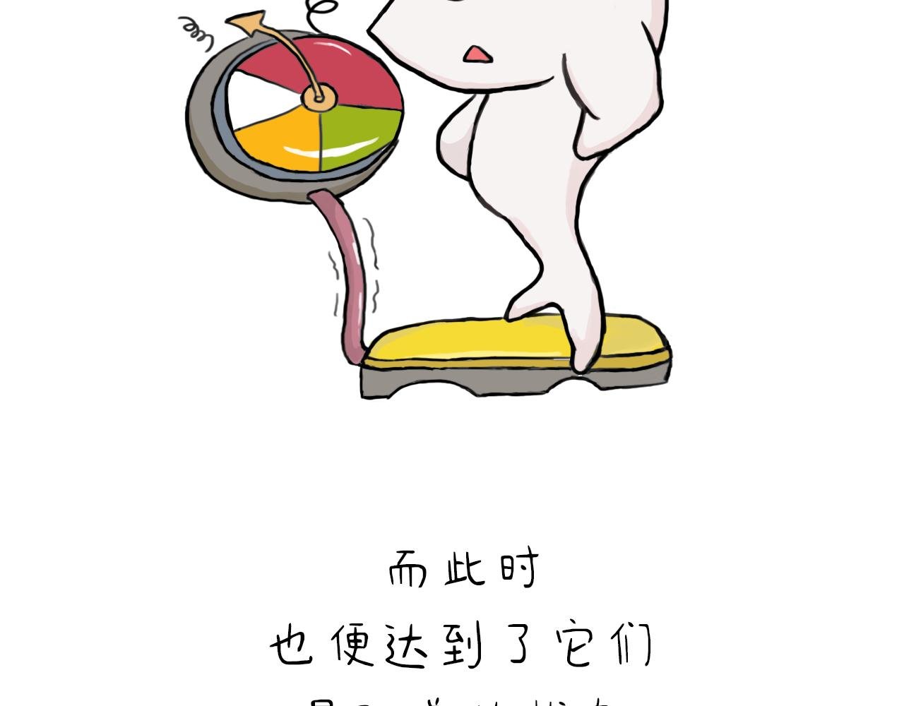 为什么说四月的凤尾鱼最肥美？