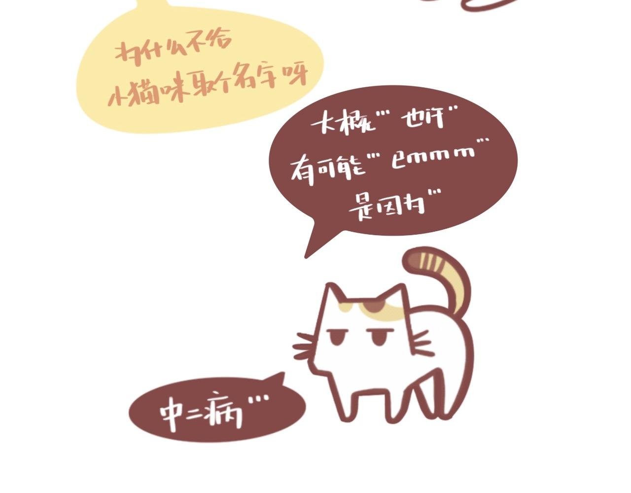 我的名字