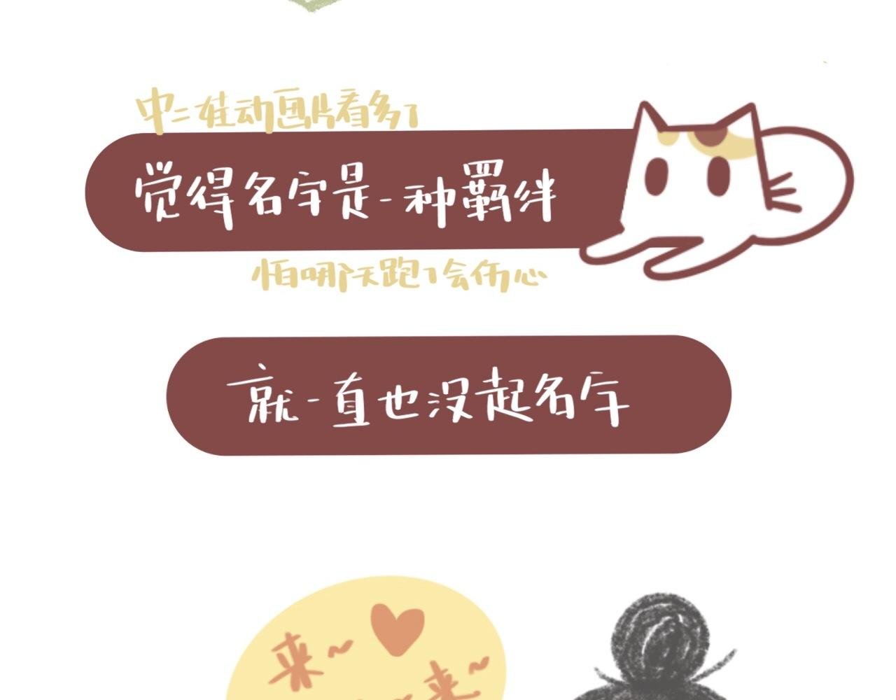 我的名字