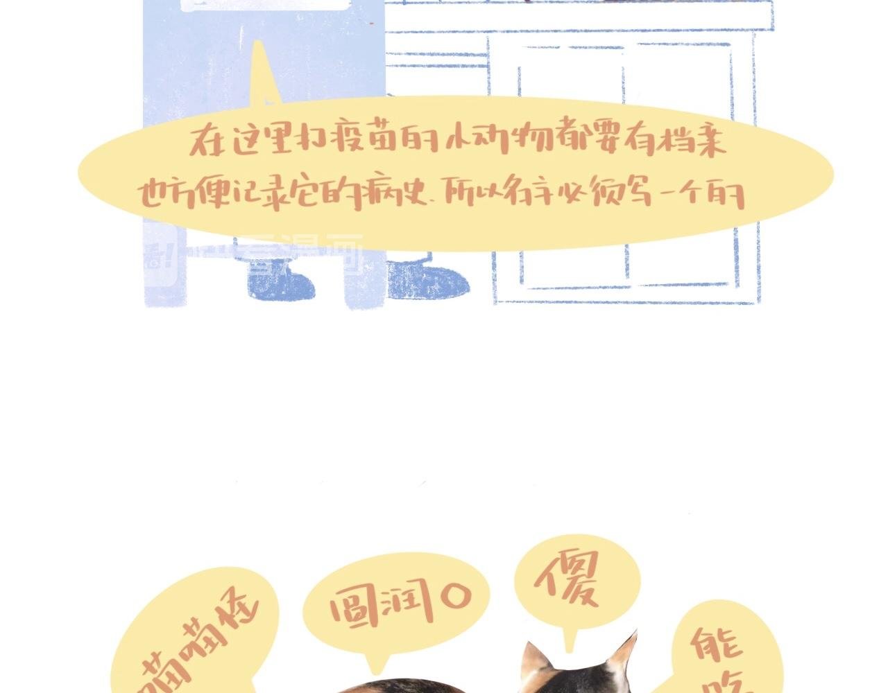 我的名字