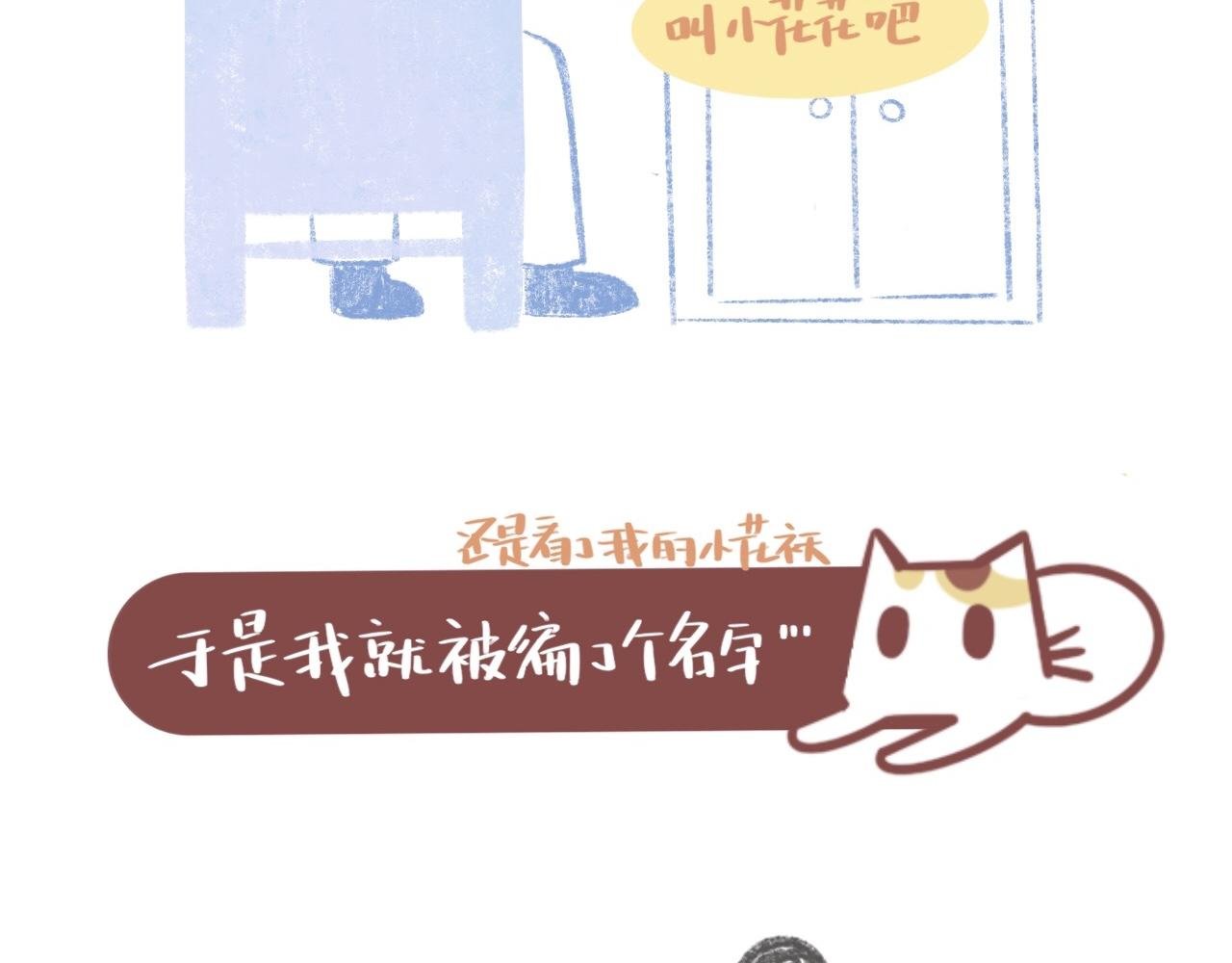 我的名字