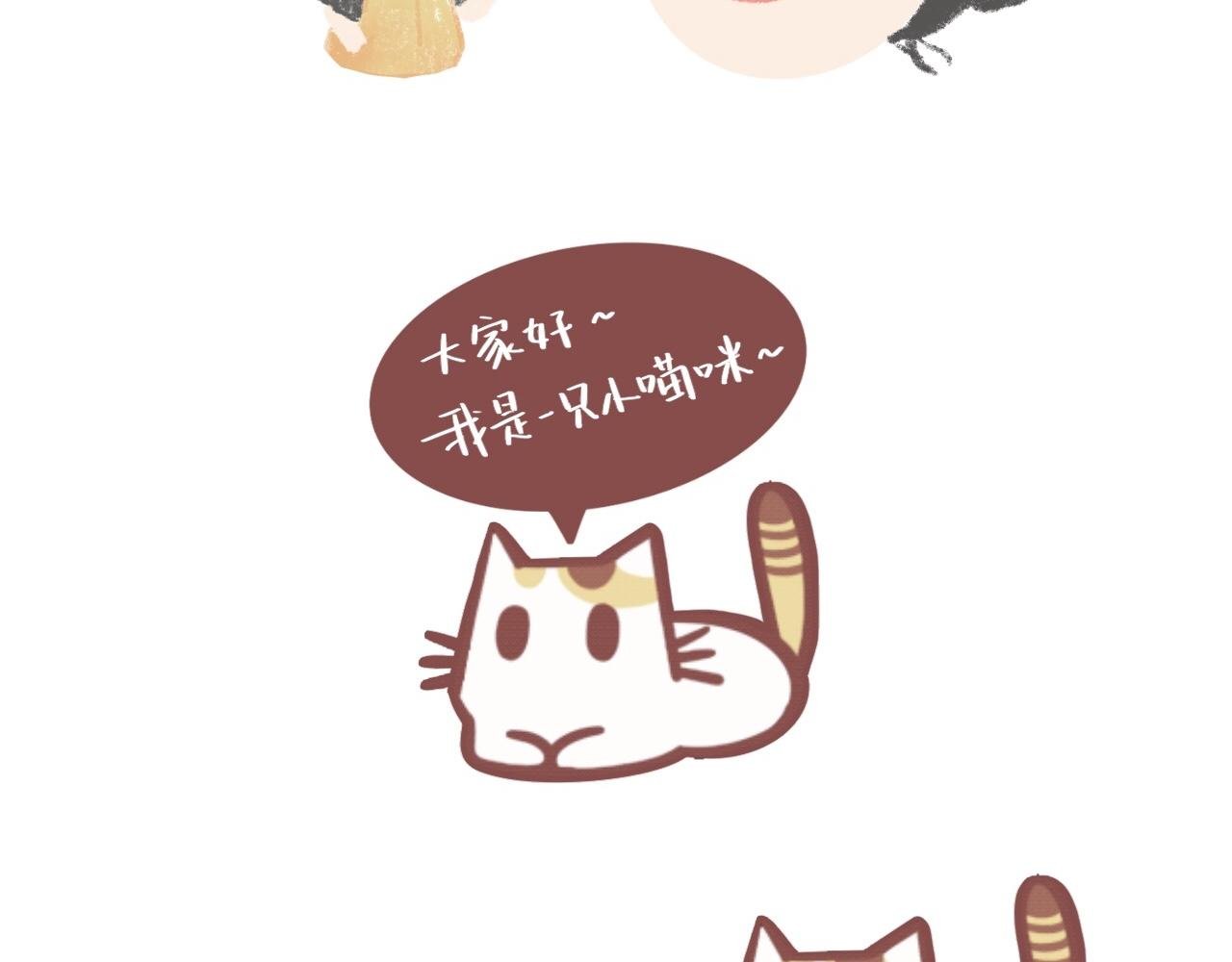 我的名字