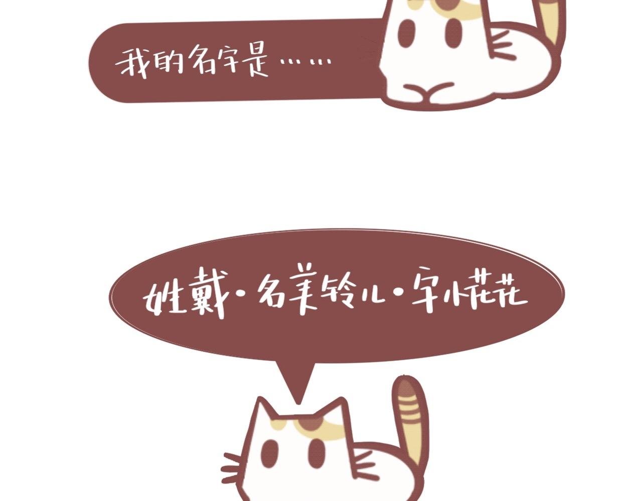我的名字