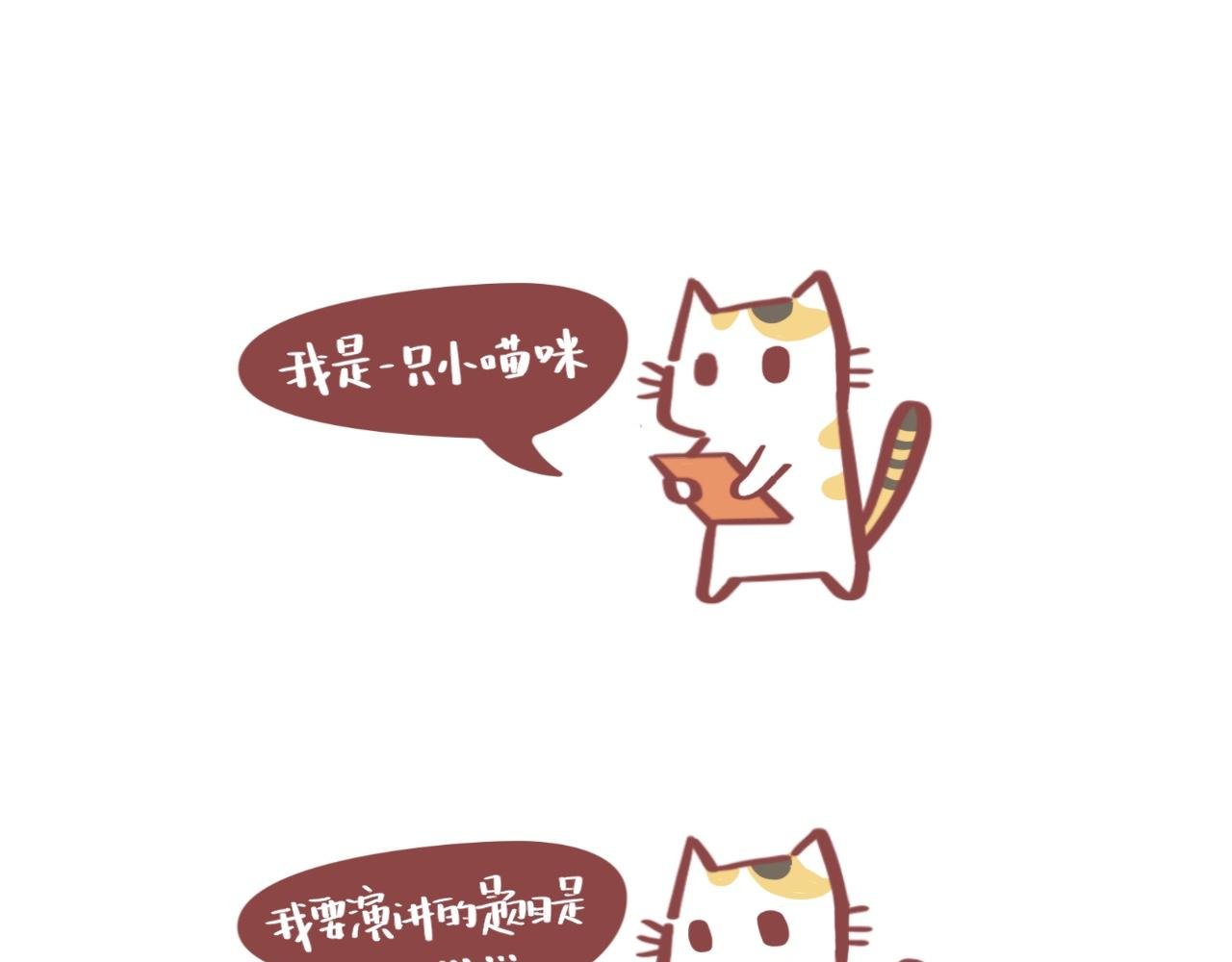 流浪小三花