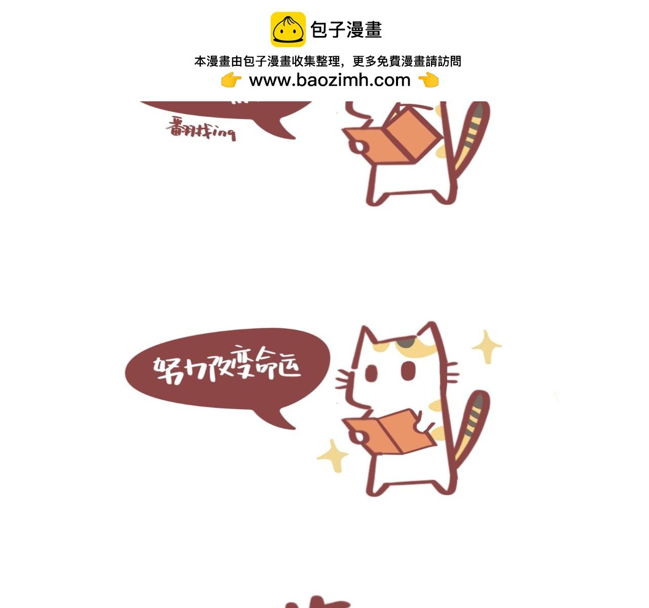 流浪小三花