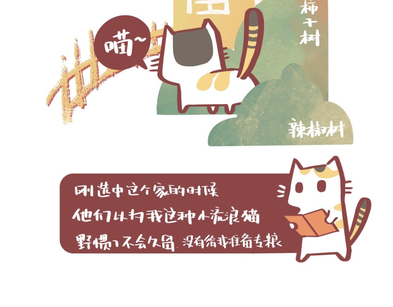 流浪小三花