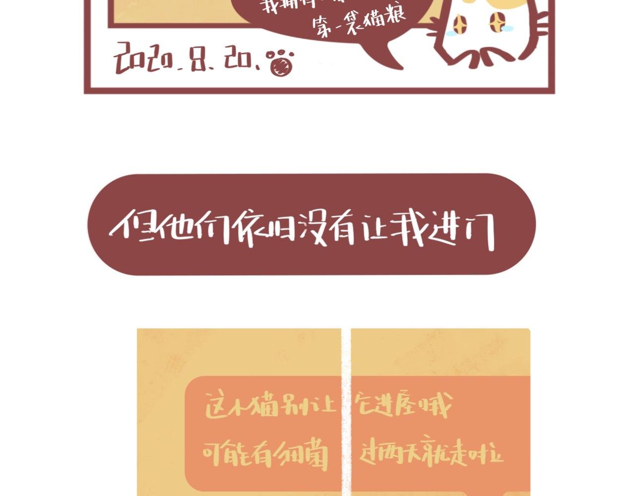 流浪小三花