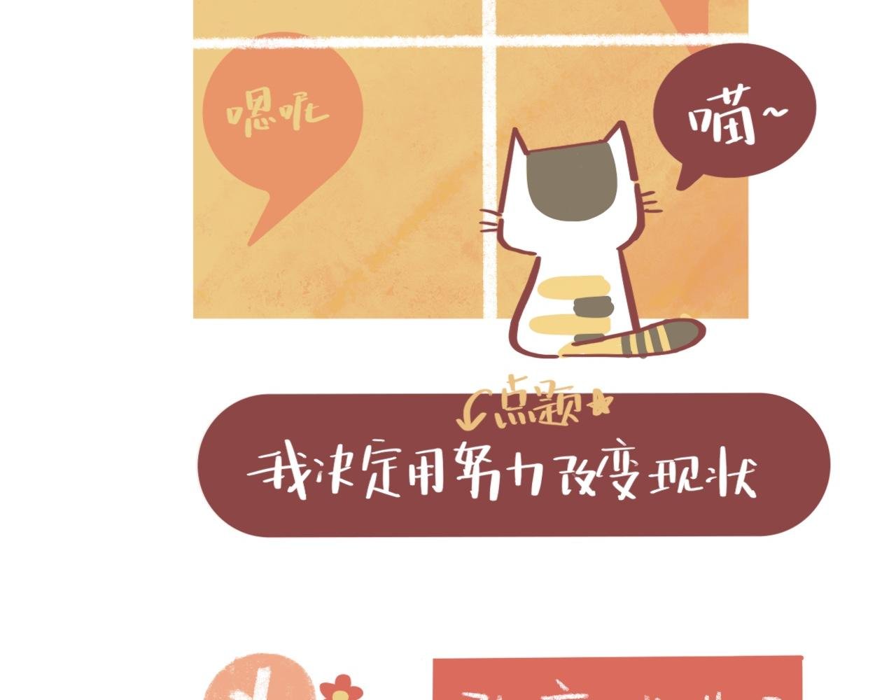 流浪小三花