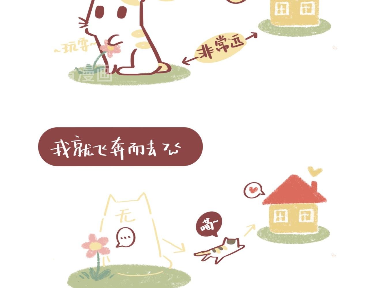 流浪小三花