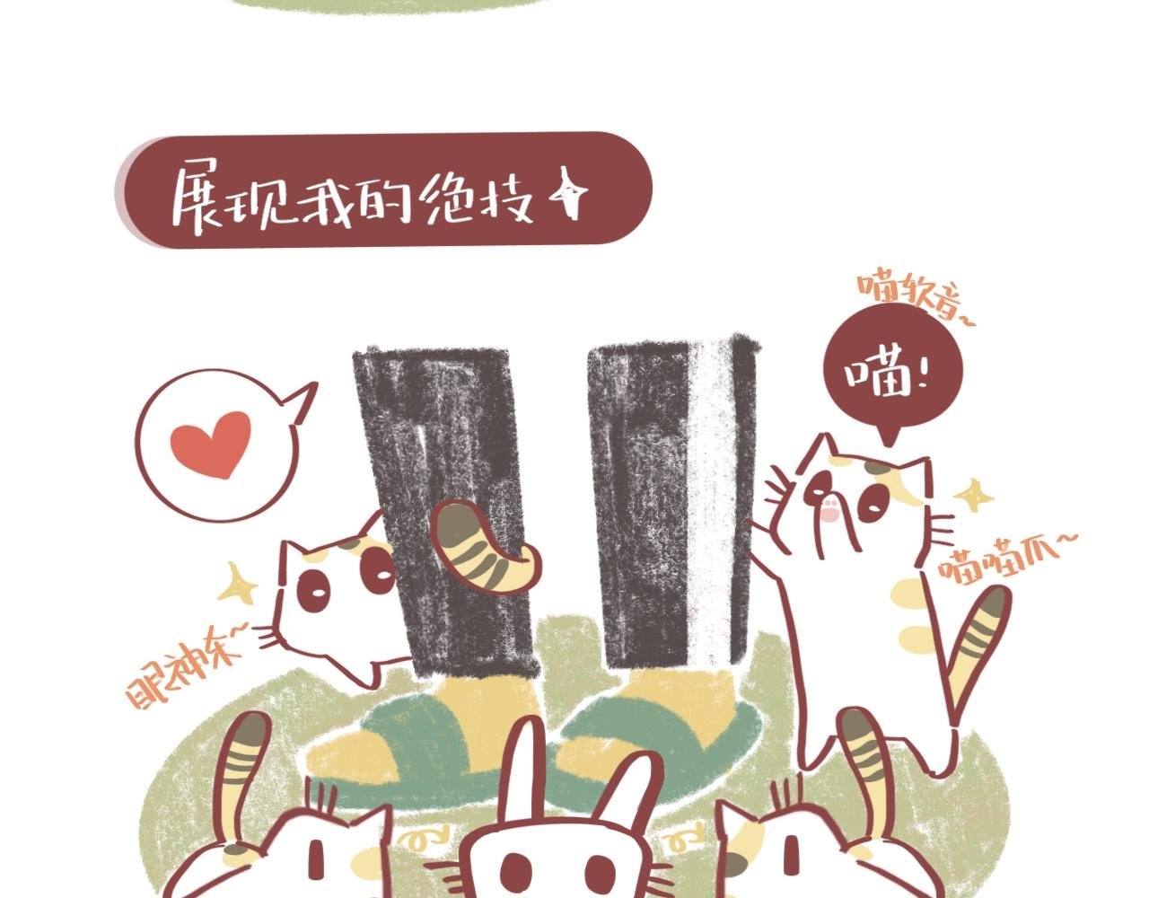 流浪小三花