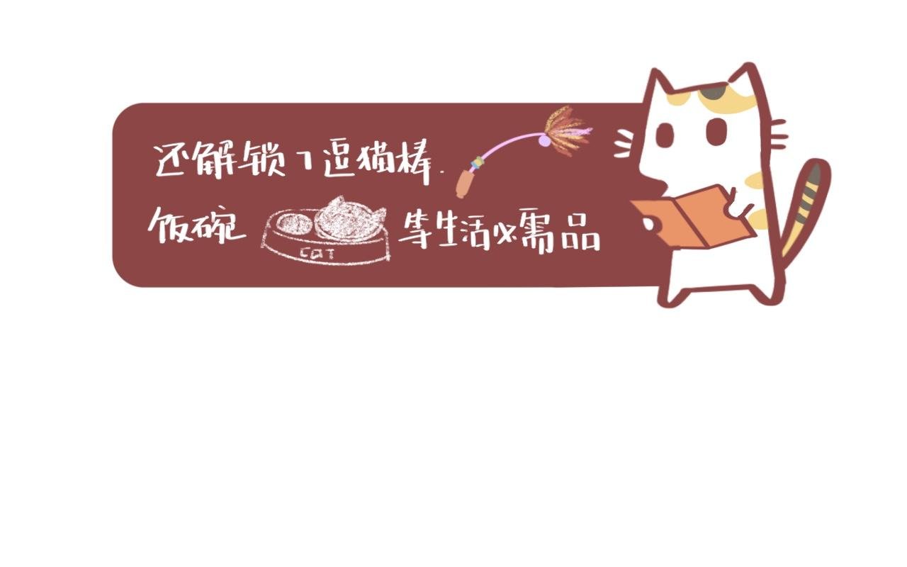 流浪小三花