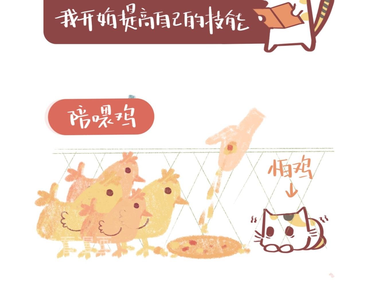 流浪小三花