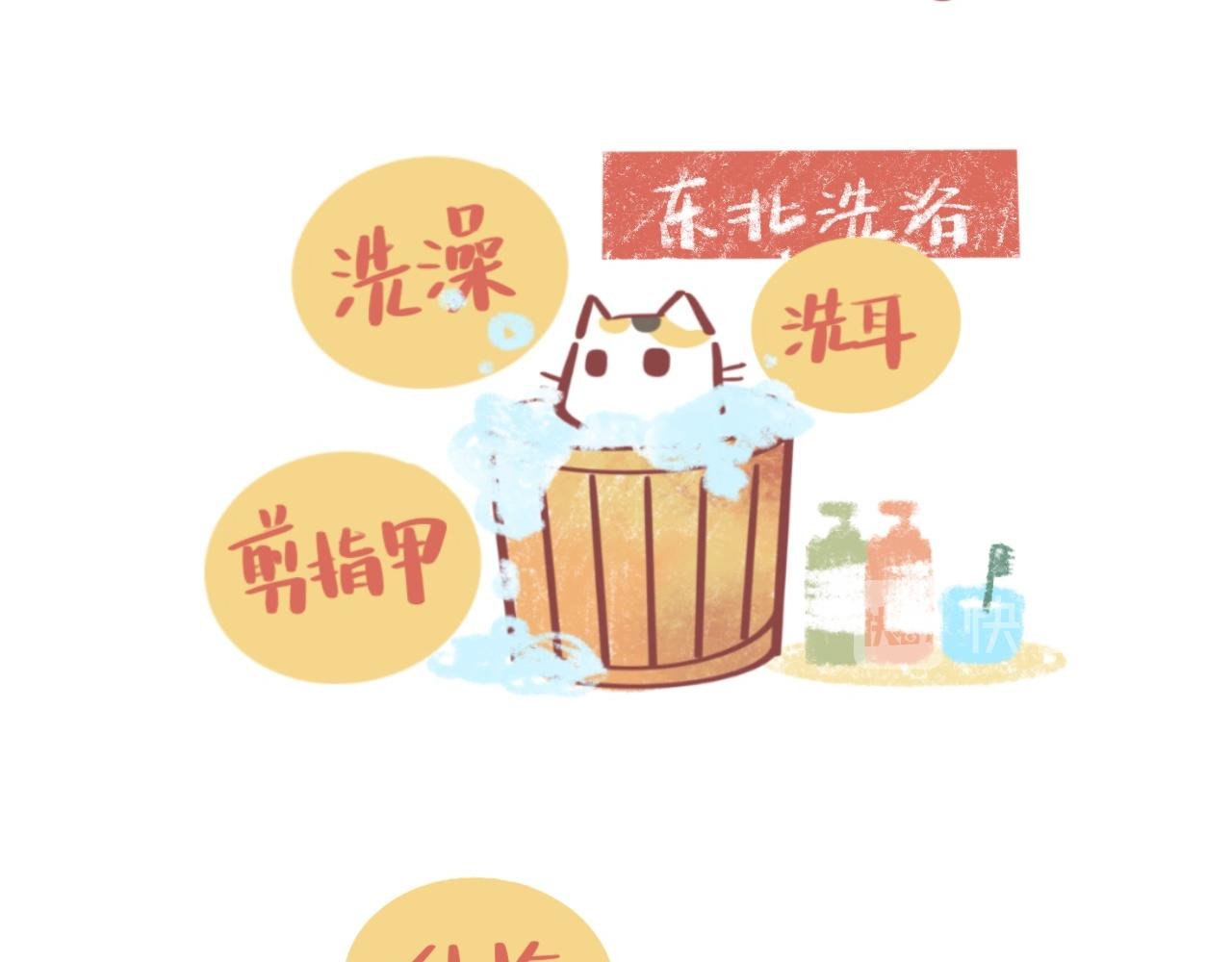 流浪小三花