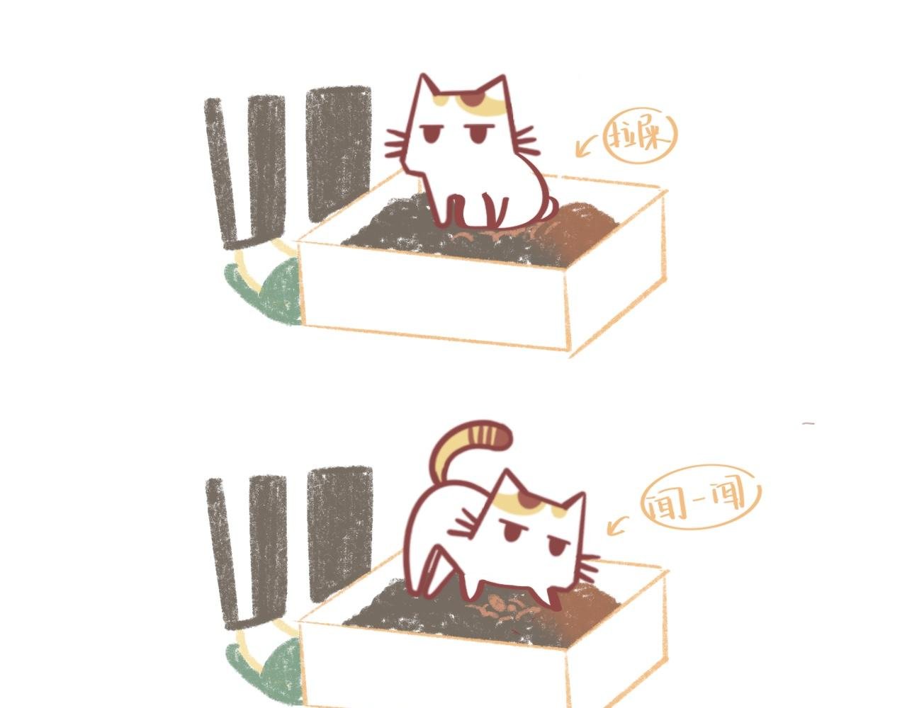 流浪小三花