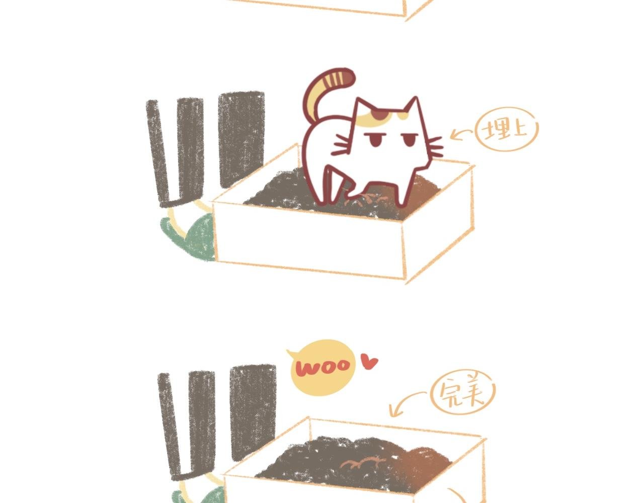 流浪小三花