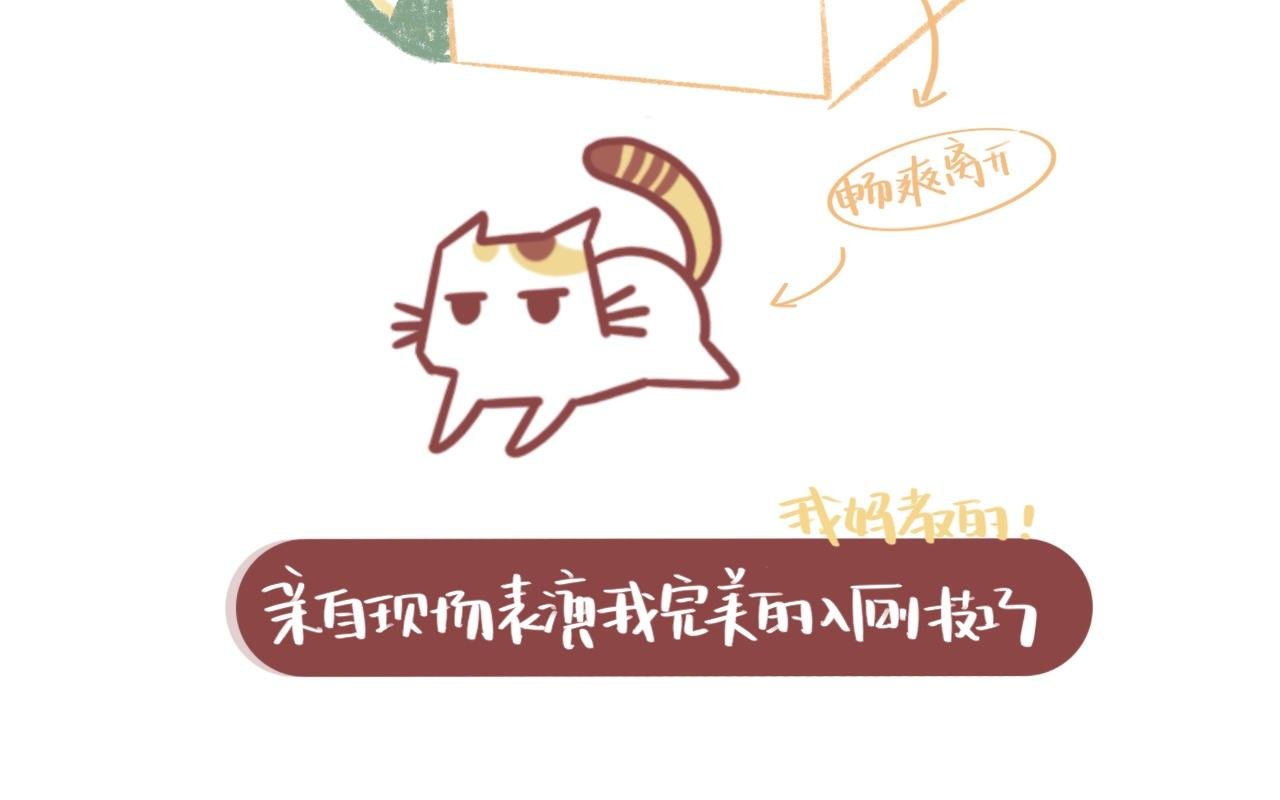 流浪小三花