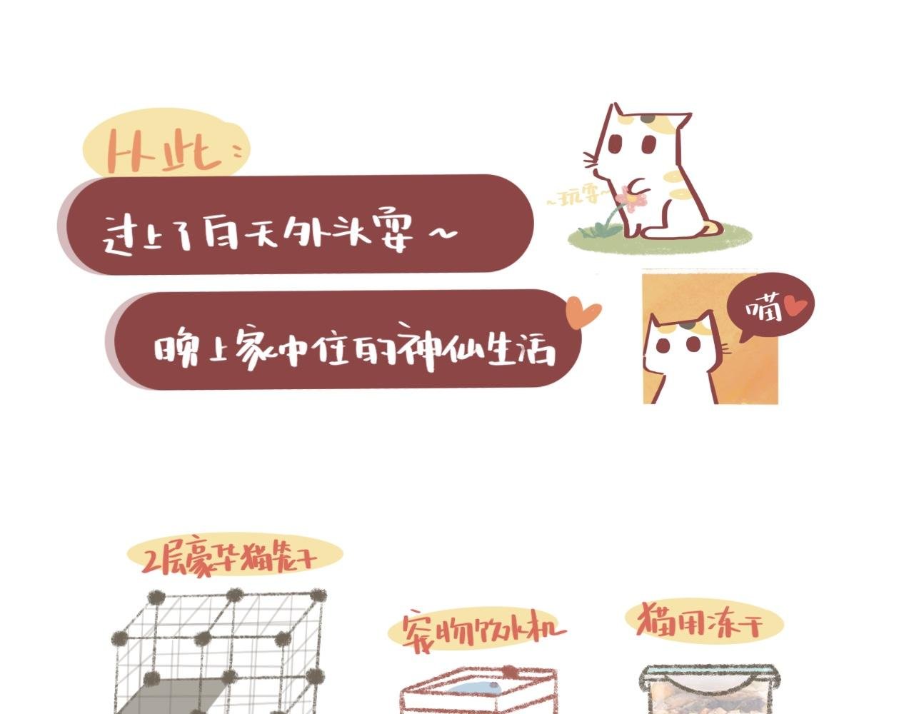 流浪小三花