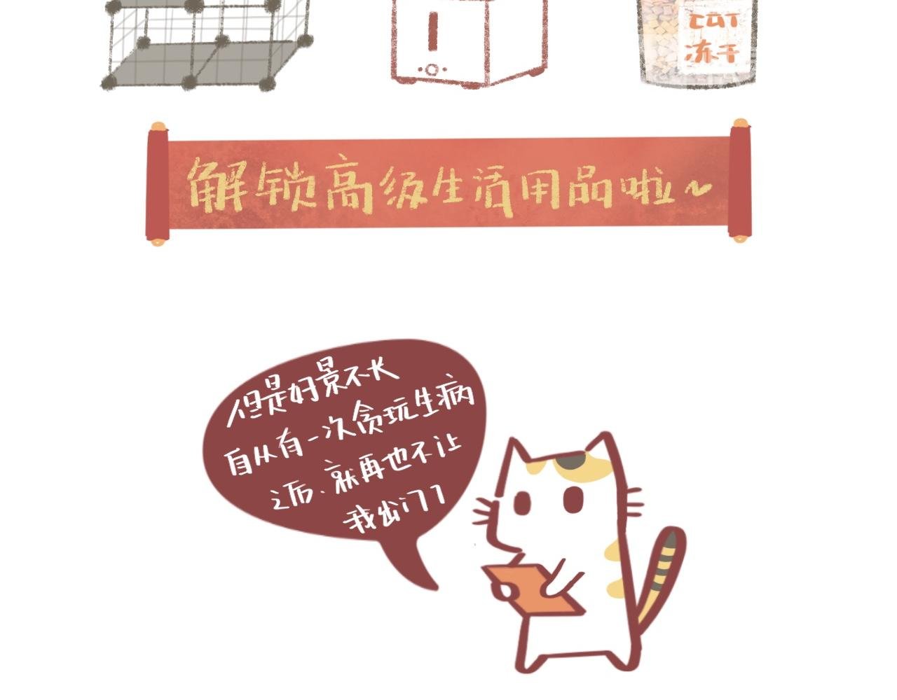 流浪小三花