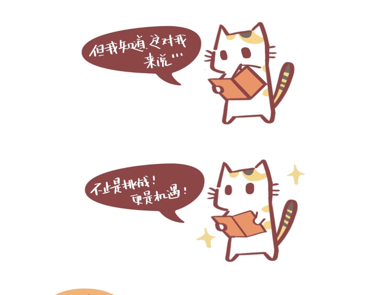流浪小三花