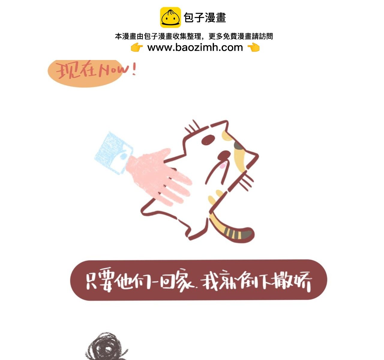 流浪小三花