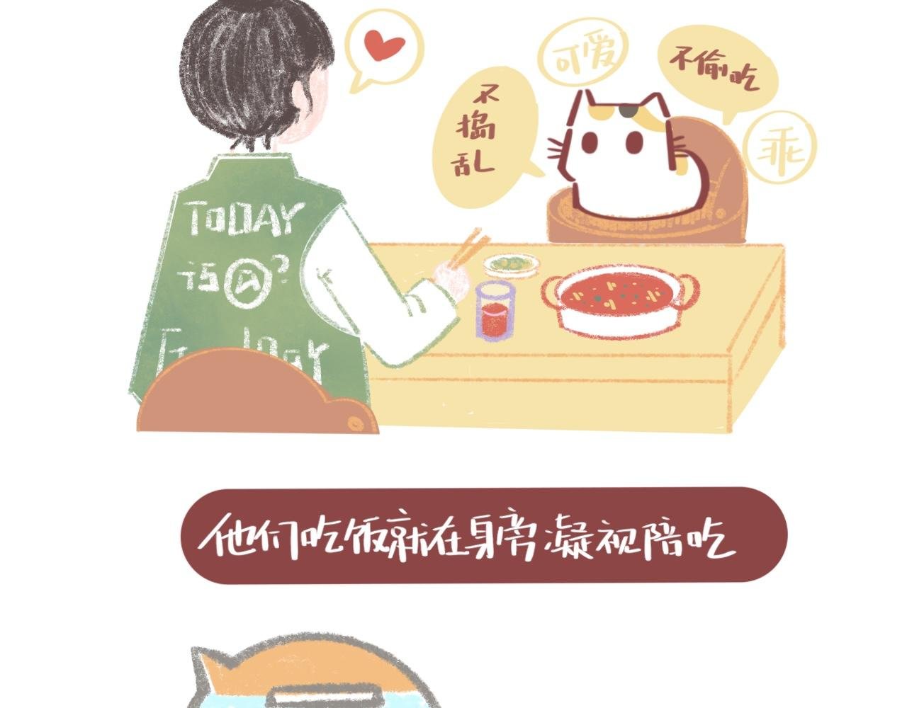 流浪小三花