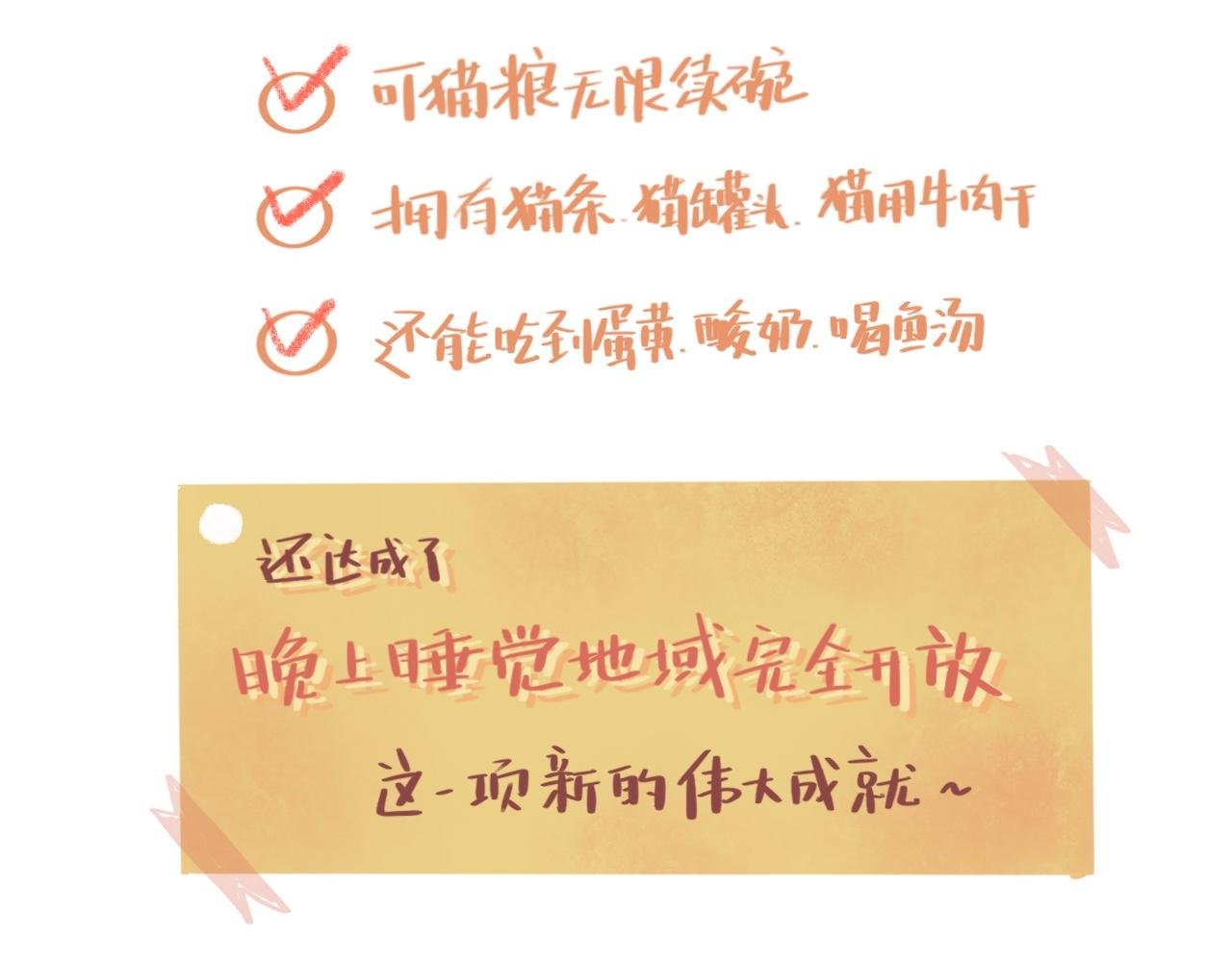 流浪小三花