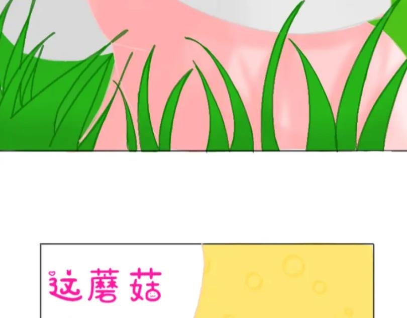 第二话：他是白轩羽