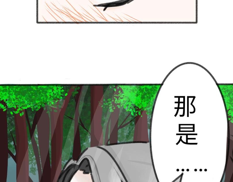 第二话：他是白轩羽