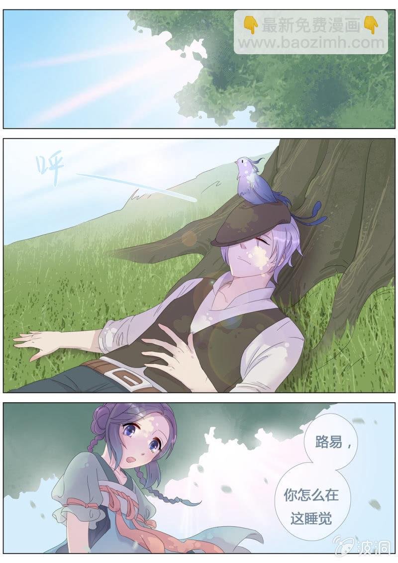 花田的幻象