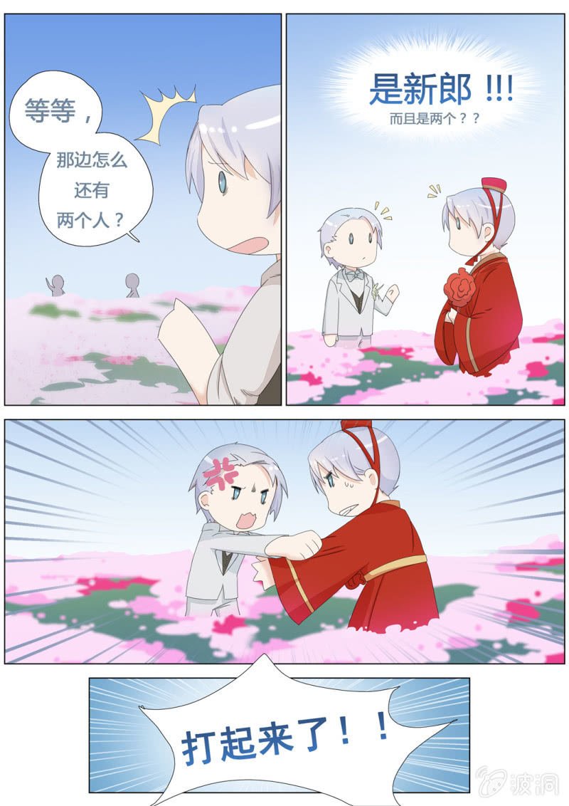 花田的幻象